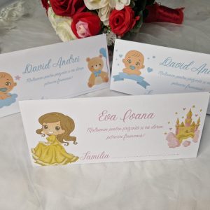 Plic de bani botez