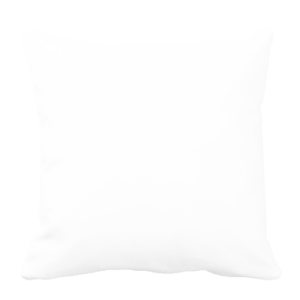 Perna personalizata 40x40 cm